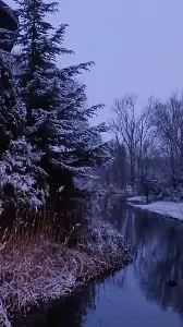 Pat 09 Eindelijk kerst